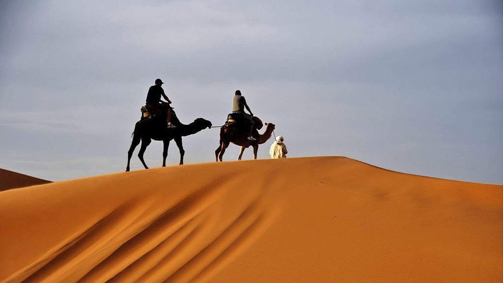 Morocco day trips - Fez to Marrakech Desert Tour & Camels