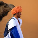 Sahara Desert - Marrakech to Fez Desert Camel Tour