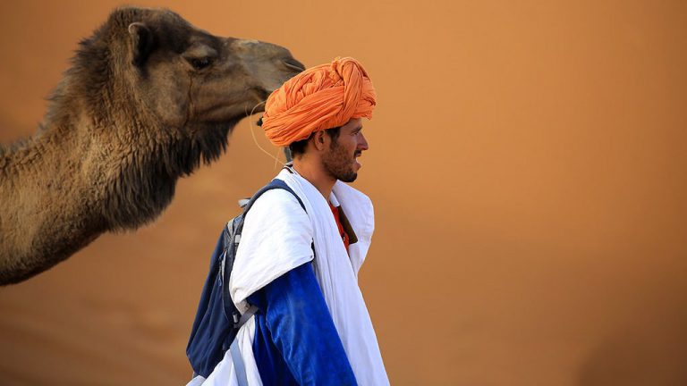 Sahara Desert - Marrakech to Fez Desert Camel Tour